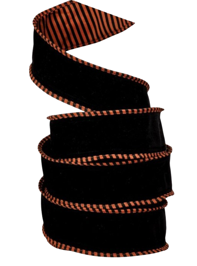 2.5" x 10Y Dupion w/ Stripe Ribbon