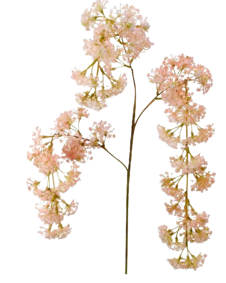 PL.WEEPING LAUREL FLOWER SPRAY 30"