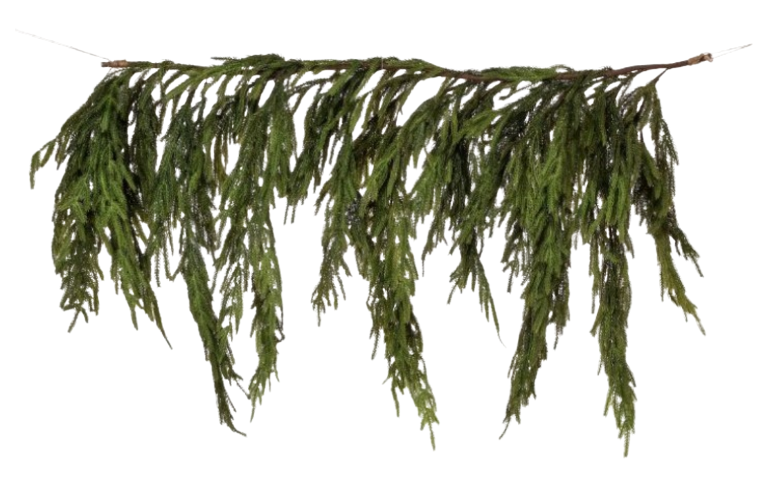 40 X 27" Real Touch Norfolk Pine Dripping Garland