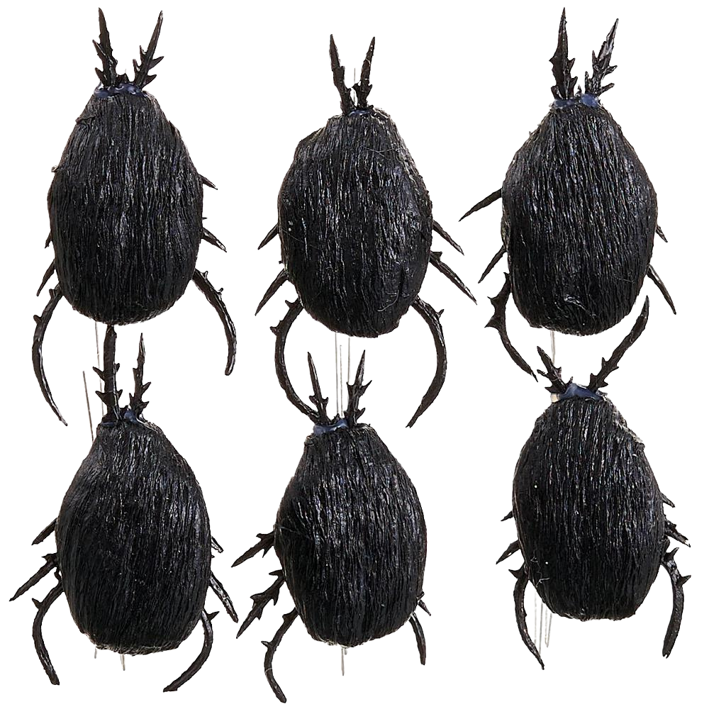 3.5" W x 5" L Beetle x6 in Bag  Black