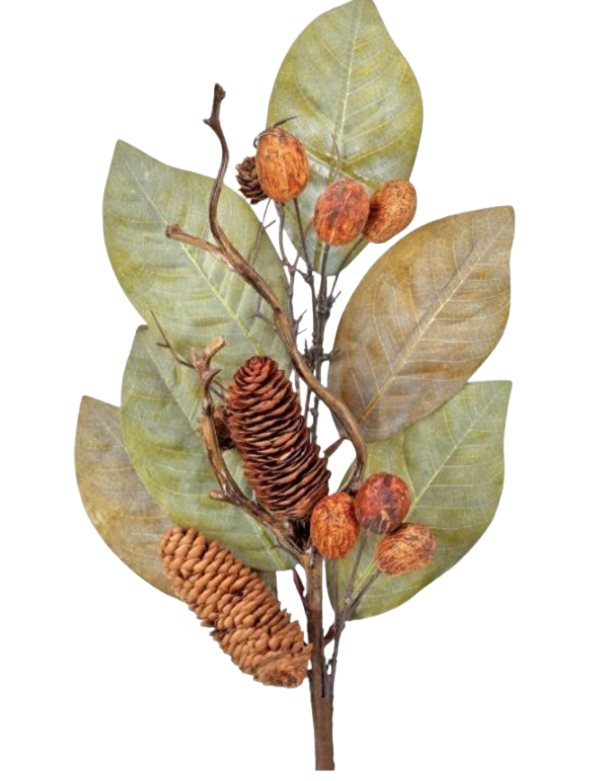 25" Dried Magnolia Leaf w/Nuts & Cones Spray