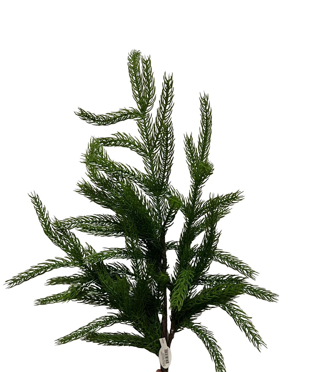 36" Real Touch Forest Norfolk Pine Spray